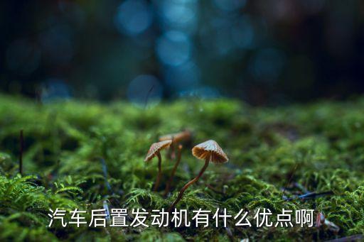 汽車后置發(fā)動(dòng)機(jī)有什么優(yōu)點(diǎn)啊