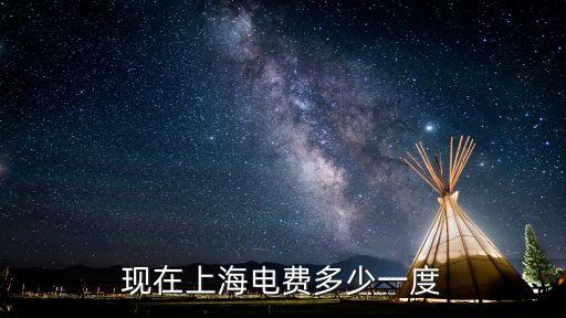 現(xiàn)在上海電費多少一度