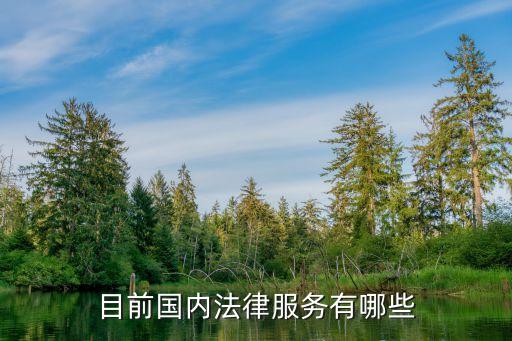 目前國內(nèi)法律服務(wù)有哪些