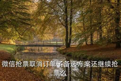 微信搶票取消訂單了備選方案還繼續(xù)搶票么