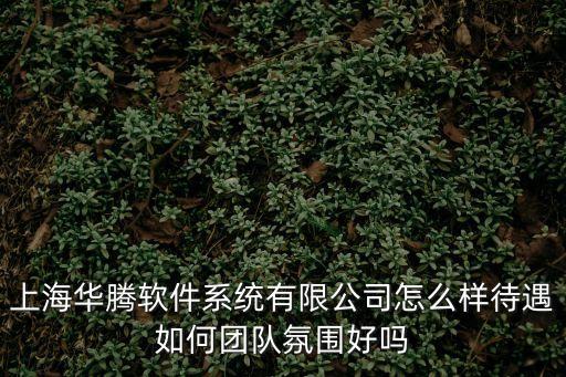 上海華騰軟件系統(tǒng)有限公司怎么樣待遇如何團隊氛圍好嗎