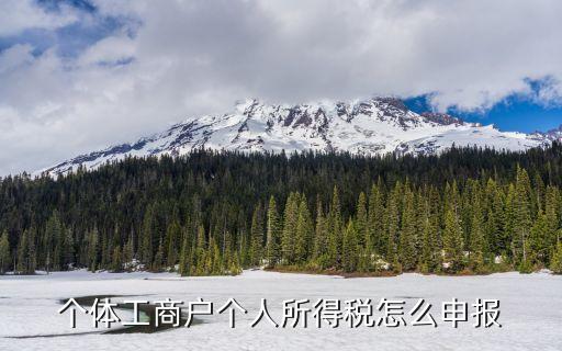 個(gè)體工商戶個(gè)人所得稅怎么申報(bào)