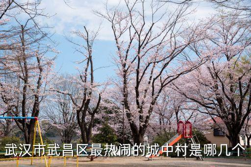 武漢城中村，武漢56個(gè)城中村要拆遷所包括哪些小區(qū)建材市場(chǎng)