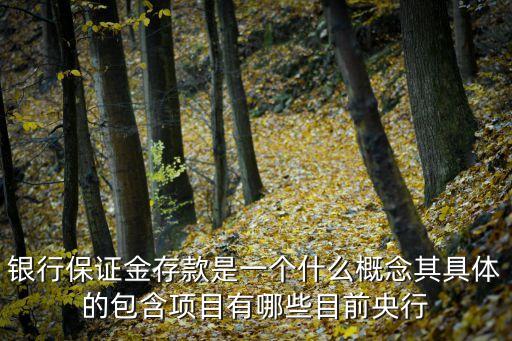 存款保證金，銀行保證金存款是一個什么概念其具體的包含項目有哪些目前央行