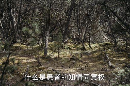 什么是患者的知情同意權(quán)