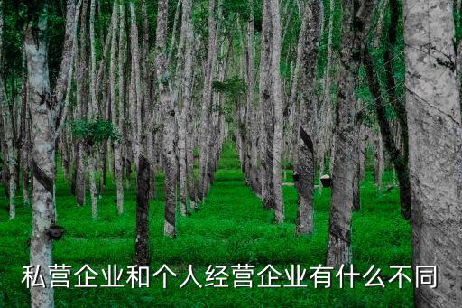 私人企業(yè)，私營企業(yè)和個人經(jīng)營企業(yè)有什么不同