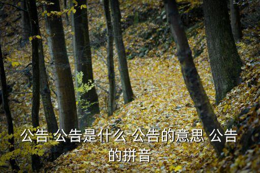 公告是什么意思，公告是什么意思