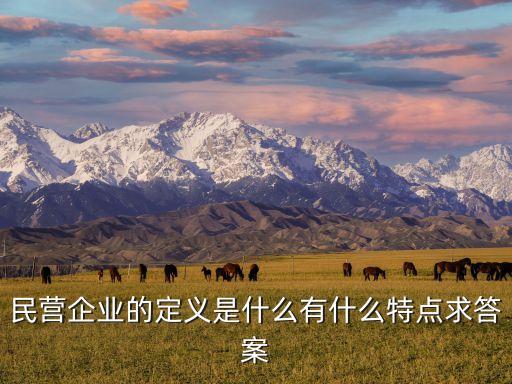 什么叫民營企業(yè)，民營企業(yè)是指哪些企業(yè)