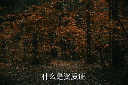 資質(zhì)證，什么是資質(zhì)證