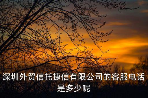 捷信公司電話，廣東捷信擔(dān)保有限公司的客服熱線是多少