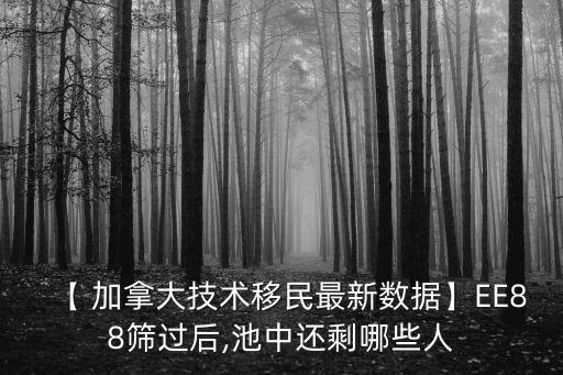 加拿大ee