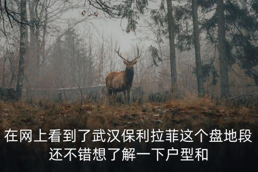 在網(wǎng)上看到了武漢保利拉菲這個(gè)盤地段還不錯(cuò)想了解一下戶型和