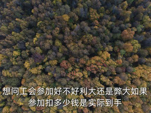 中國(guó)工會(huì)有用嗎，工會(huì)現(xiàn)實(shí)中真的有用嗎