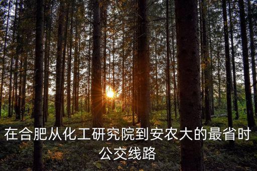 安徽省化工研究院，合肥化工研究院和冶金研究所怎么樣