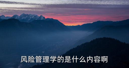 風(fēng)險(xiǎn)管理學(xué)的是什么內(nèi)容啊