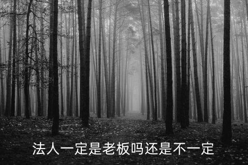 法人是老板嗎，法人代表是不是老板