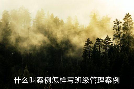 案例，什么是案例啊知道的舉手