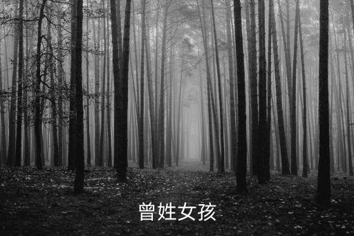 曾鈞,曾翔簡(jiǎn)介