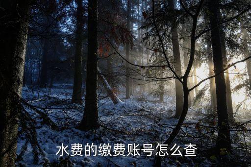 如何查詢水費戶號,智慧水務平臺app