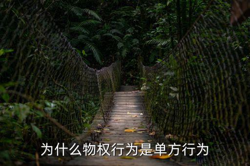 物權(quán)行為，什么是準(zhǔn)物權(quán)行為
