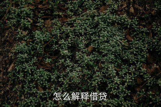 借貸，怎么解釋借貸