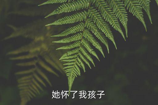 他懷了我的孩子，他懷了我的孩子想打掉還是生下來