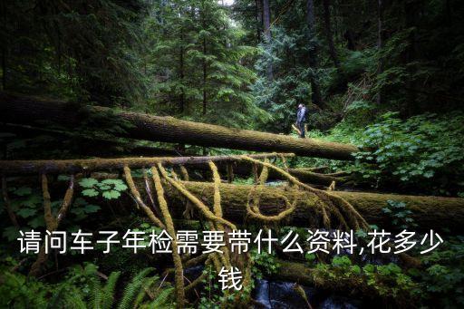 審車需要花多少錢,審車費用2023