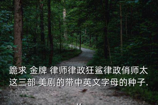 跪求 金牌 律師律政狂鯊律政俏師太這三部 美劇的帶中英文字母的種子...