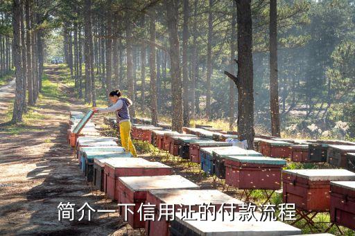 信用證付款，簡介一下信用證的付款流程
