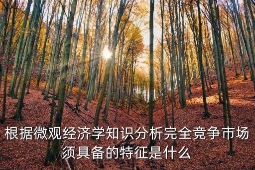 根據(jù)微觀經(jīng)濟(jì)學(xué)知識分析完全競爭市場須具備的特征是什么
