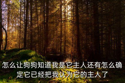 怎么讓狗狗知道我是它主人還有怎么確定它已經(jīng)把我認(rèn)為它的主人了