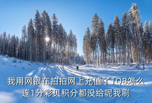 一分彩，我用網(wǎng)銀在拍拍網(wǎng)上充值了1QB怎么連1分彩貝積分都沒給呢我刷