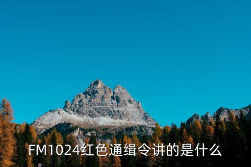 FM1024紅色通緝令講的是什么