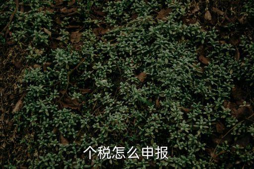個(gè)稅怎么申報(bào)