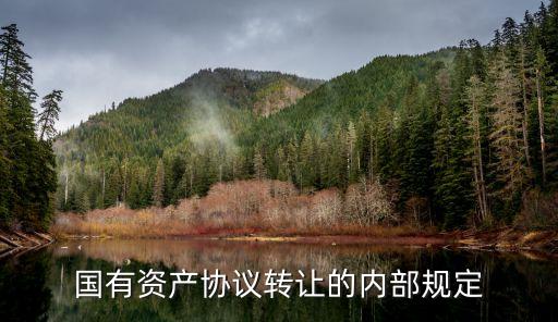 國(guó)有資產(chǎn)轉(zhuǎn)讓?zhuān)鹑谄髽I(yè)國(guó)有資產(chǎn)如何轉(zhuǎn)讓