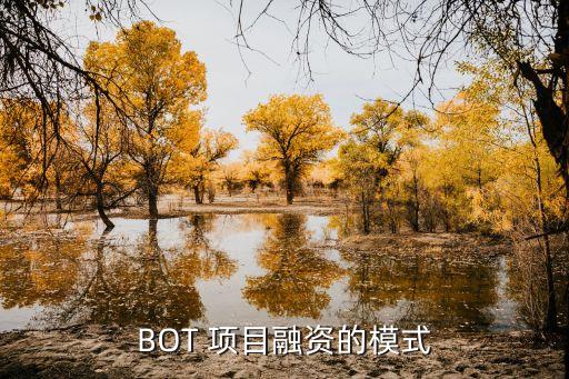 項目管理者聯盟