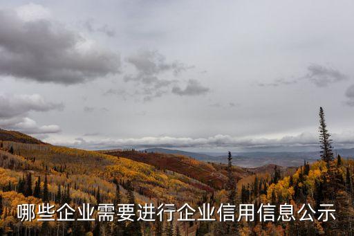 公示信息，哪些企業(yè)需要進行企業(yè)信用信息公示