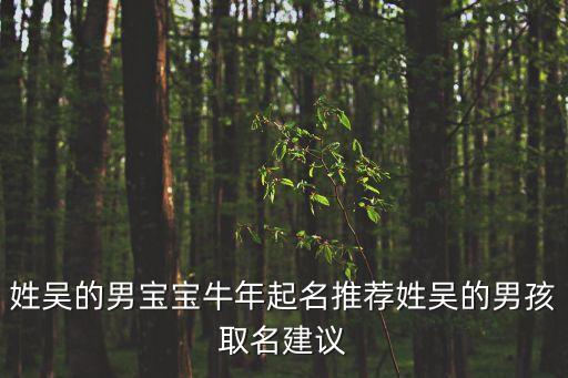 吳文光