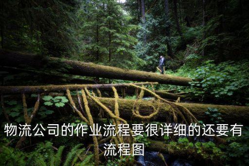 快遞作業(yè)，物流公司的作業(yè)流程要很詳細(xì)的還要有流程圖