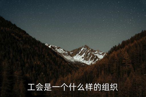 中華全國(guó)總工會(huì)，工會(huì)是一個(gè)什么樣的組織
