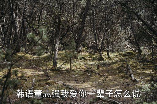 董志強(qiáng)，韓語董志強(qiáng)我愛你一輩子怎么說