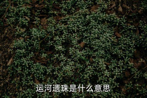 運(yùn)河遺珠是什么意思