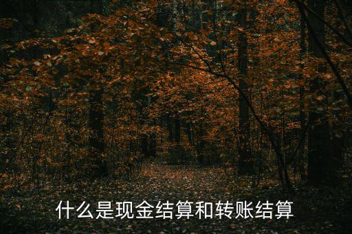 什么是現(xiàn)金結(jié)算和轉(zhuǎn)賬結(jié)算