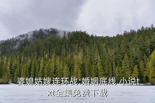 婆媳同夫小說,婆媳都是攻略者的小說