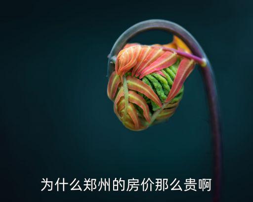 新密二手房