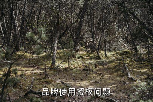 品牌使用授權問題