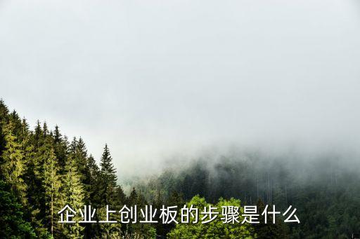 企業(yè)上創(chuàng)業(yè)板的步驟是什么