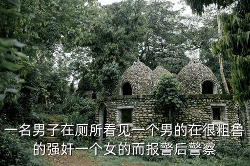 男強(qiáng)奸女，一名男子在廁所看見一個男的在很粗魯?shù)膹?qiáng)奸一個女的而報警后警察