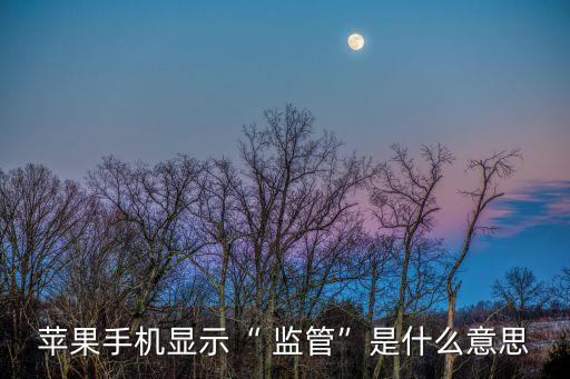 蘋果手機(jī)顯示“ 監(jiān)管”是什么意思