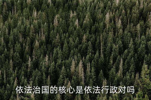依法行政的核心，依法行政的核心是法治化管理 對(duì)不對(duì)